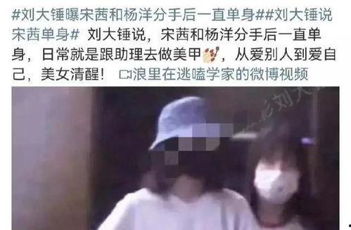 刘大锤最新爆料杨洋视频,杨洋最新视频幕后揭秘